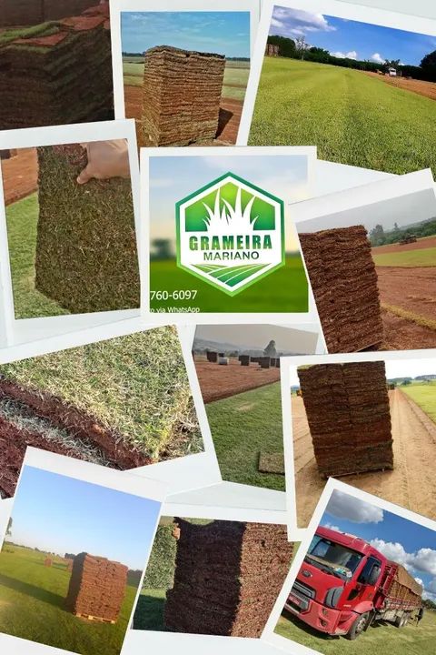 Grama em placas - Entrega rápida!