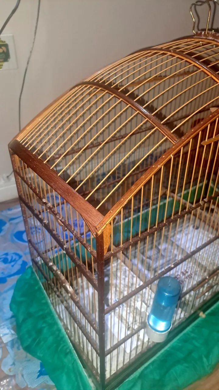 Gaiola abaulada N9 em fibra malha fina para curió bicudo azulão canário coleiro.