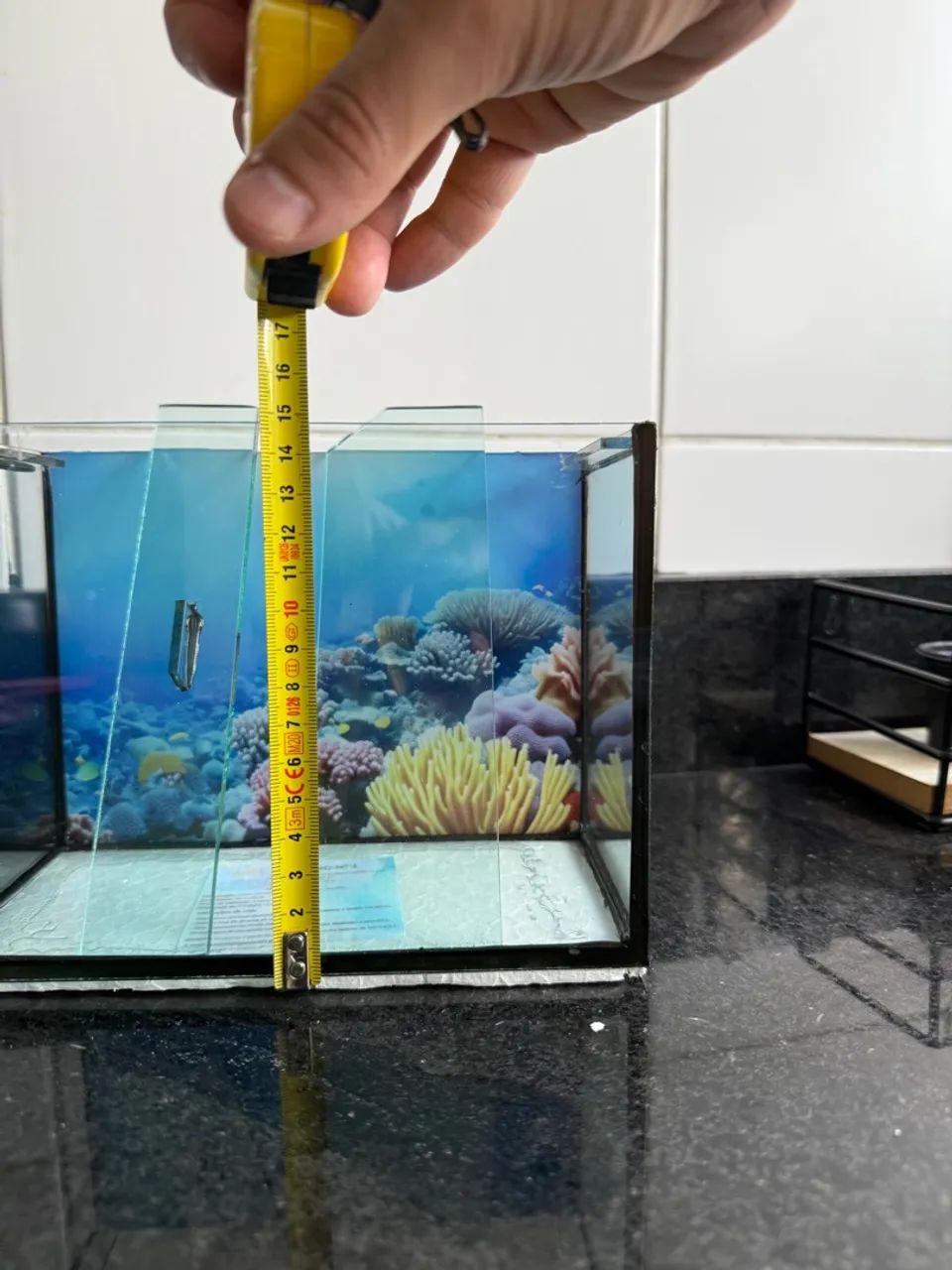 Aquário completo 6L para Peixes - Foto 2