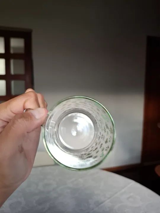 Dupla de xícaras de vidro novas da Wolff com estampa de folhagens - Foto 4