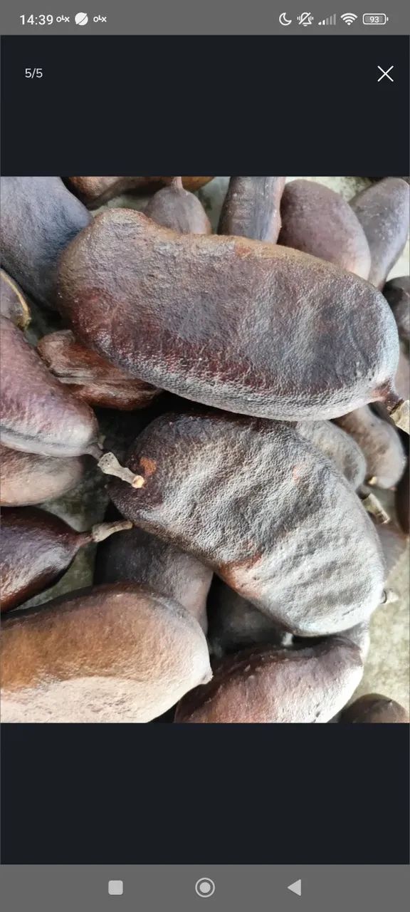 Jatobá no kg ZAP: * Retirar em Luziânia Vendo Jatobá no kg ZAP: * Retirar em Luziânia Jat  - Foto 2