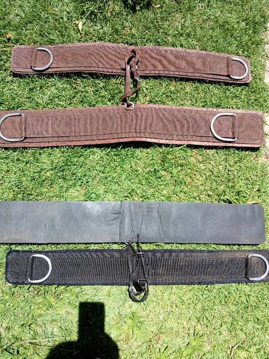 Barrigueira e cilha - Foto 2