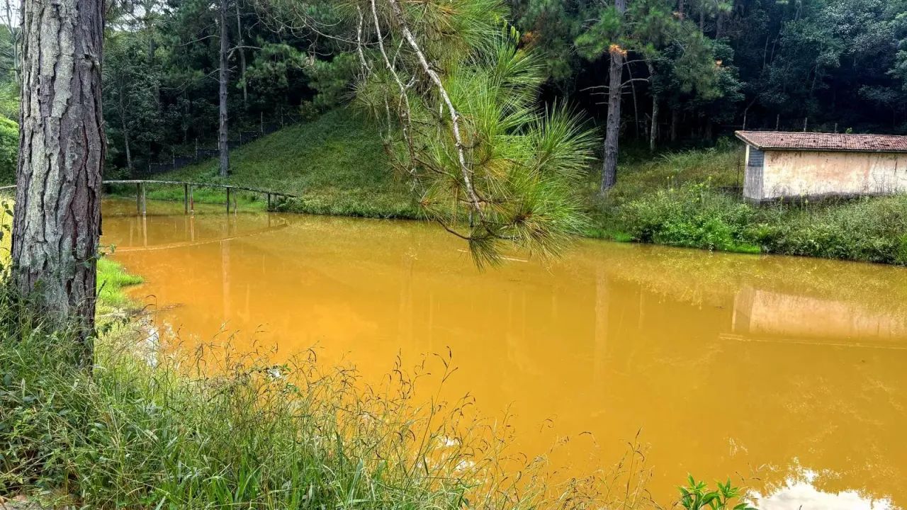 Natureza, segurança e lazer em um só lugar! - Foto 11