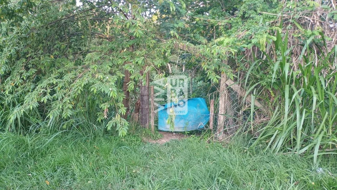 Viva Urbano Imóveis - Área Industrial na Rodovia Presidente Dutra/Resende - AR00002 - Foto 5