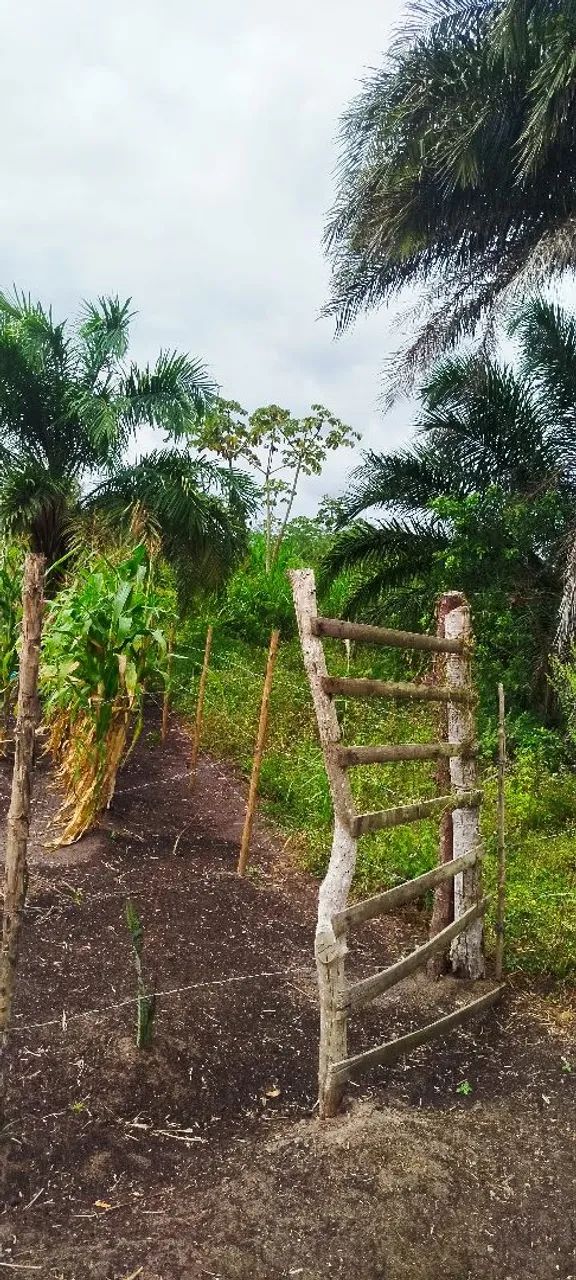 Terreno grande e excelente para sítio  - Foto 5