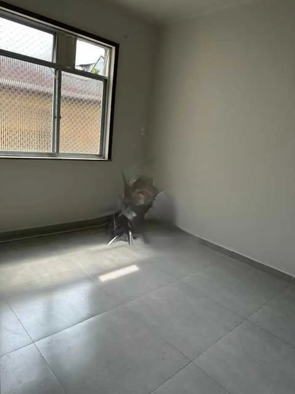 Apartamento - / Residencial / Glória - Foto 4