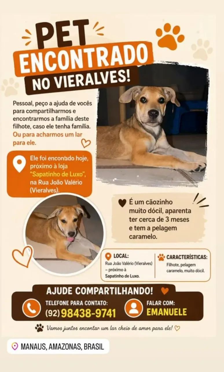Doação responsável  - Foto 3