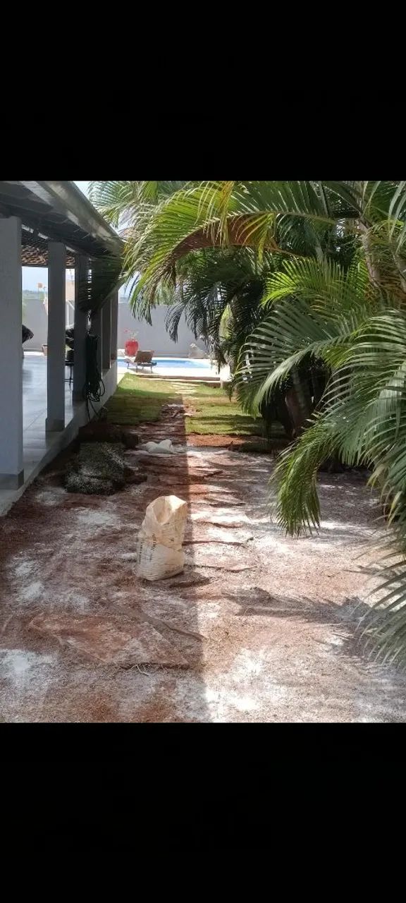 grama esmeralda batatais e sao carlos - Foto 2