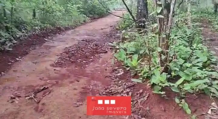 Fazenda para Venda em Araguacema - Foto 3