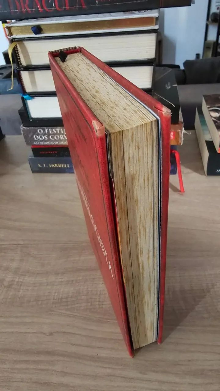 O Demonologista - Foto 2