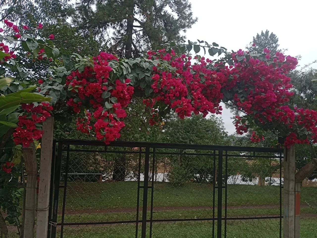 Chácara Encantadora em Águas de Santa