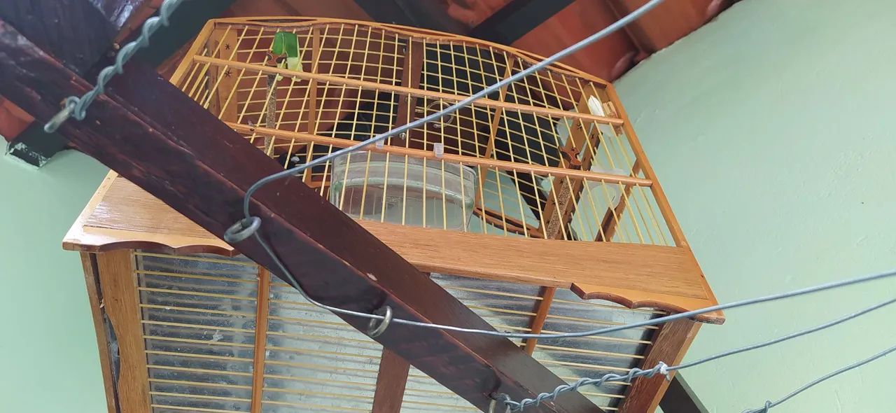 Vendo duas gaiolas para coleiro. - Foto 2