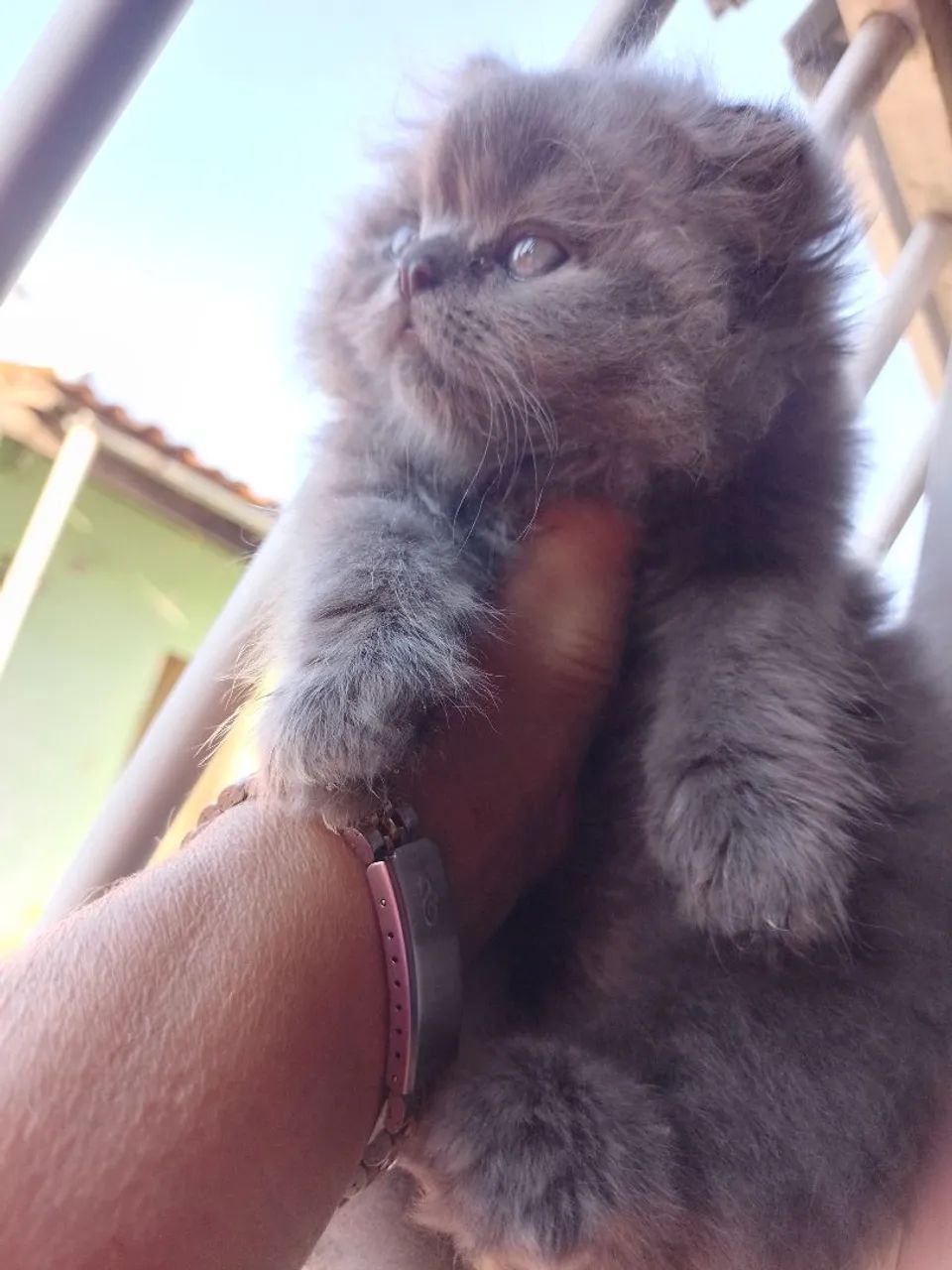 Vendas - Foto 3