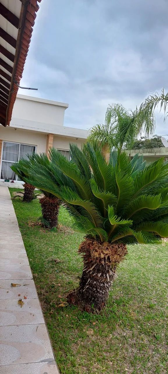 Apto de 1quarto Rio vermelho  - Foto 2