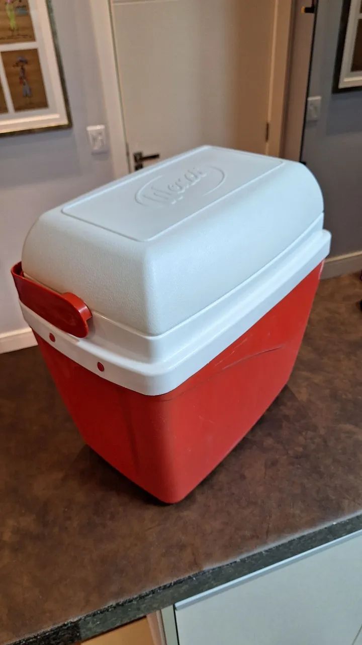 Caixa Térmica Cooler 36L