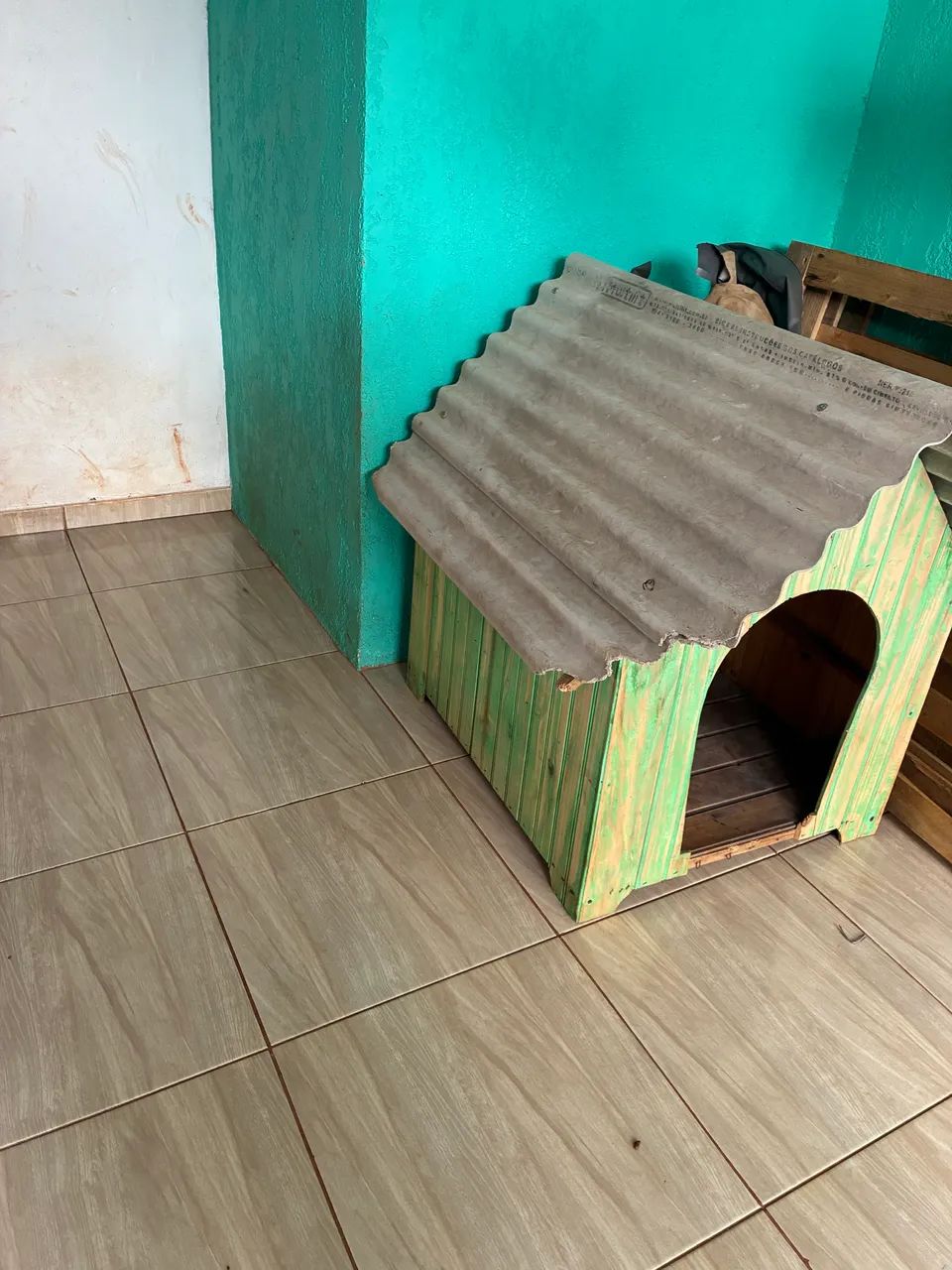 Casinha de cachorro  - Foto 2