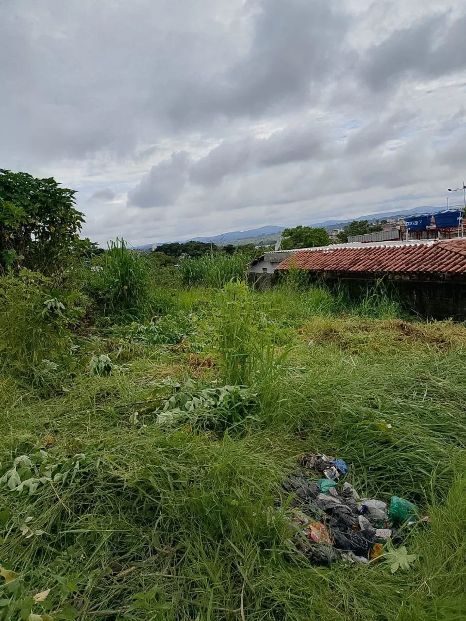 Lote Bairro Santa Lúcia 300m2 - Foto 4
