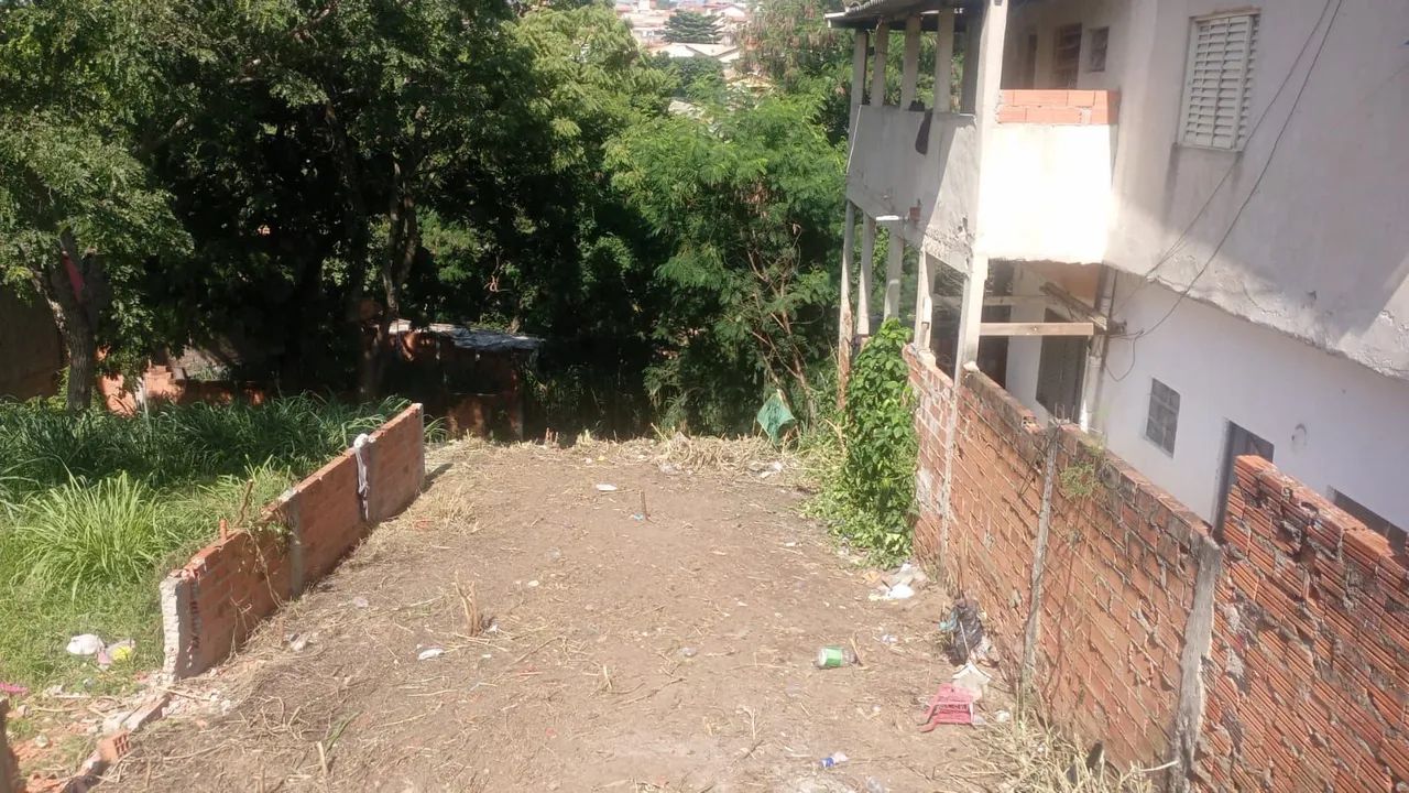 Roçagem e jardinagem 