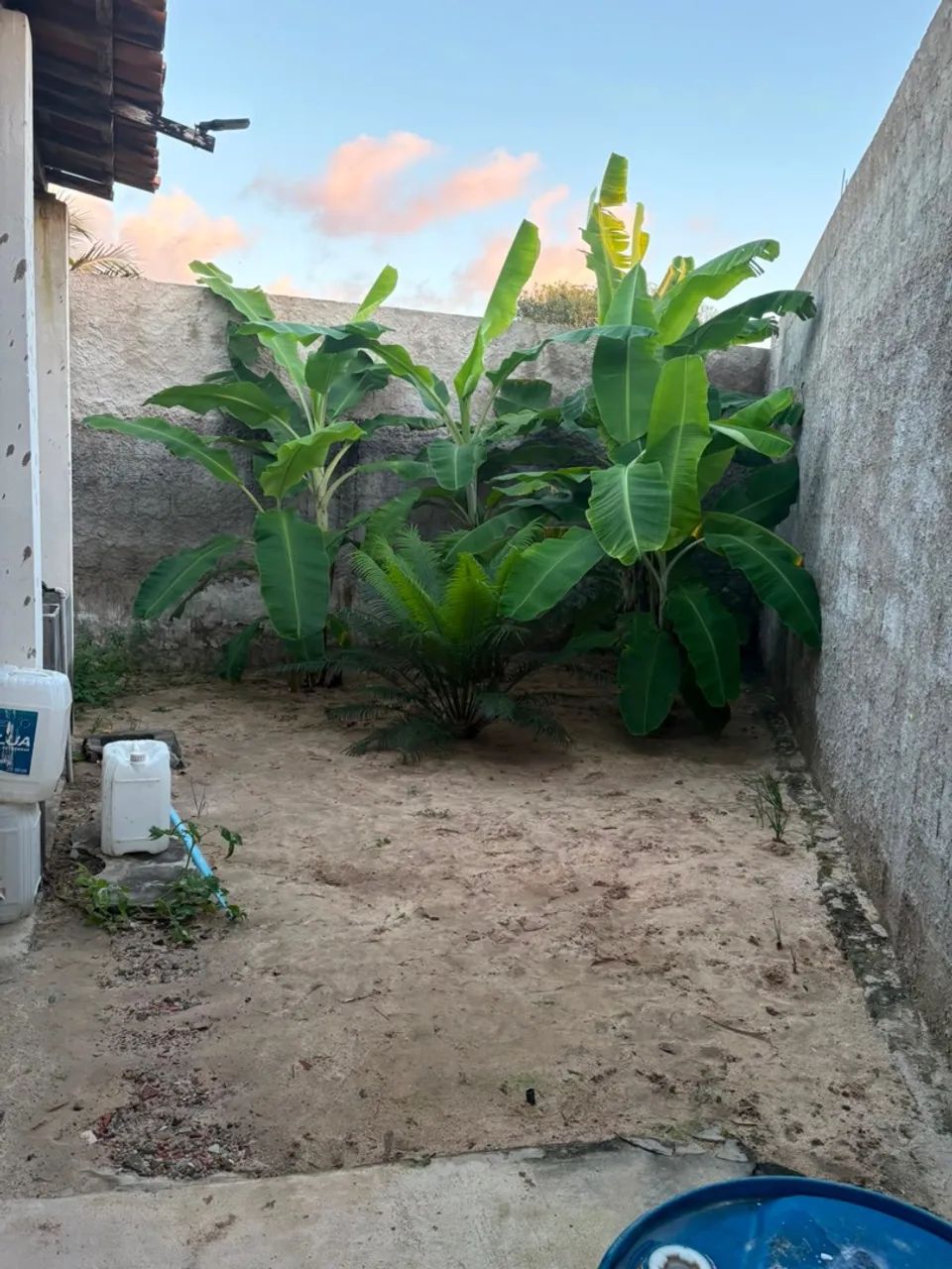 Vendo sítio  - Foto 4