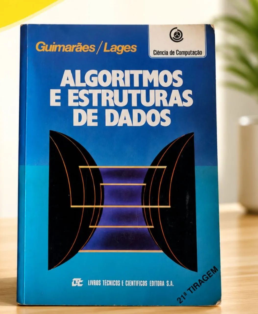 Algoritmos E Estruturas De Dados 