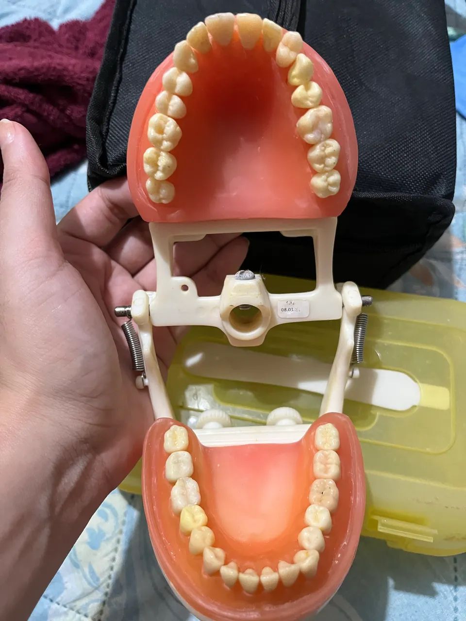 Manequim Odontologia 