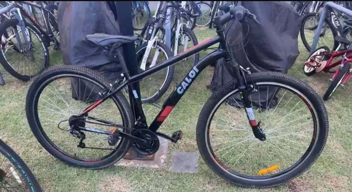 Bicicletas aro 29