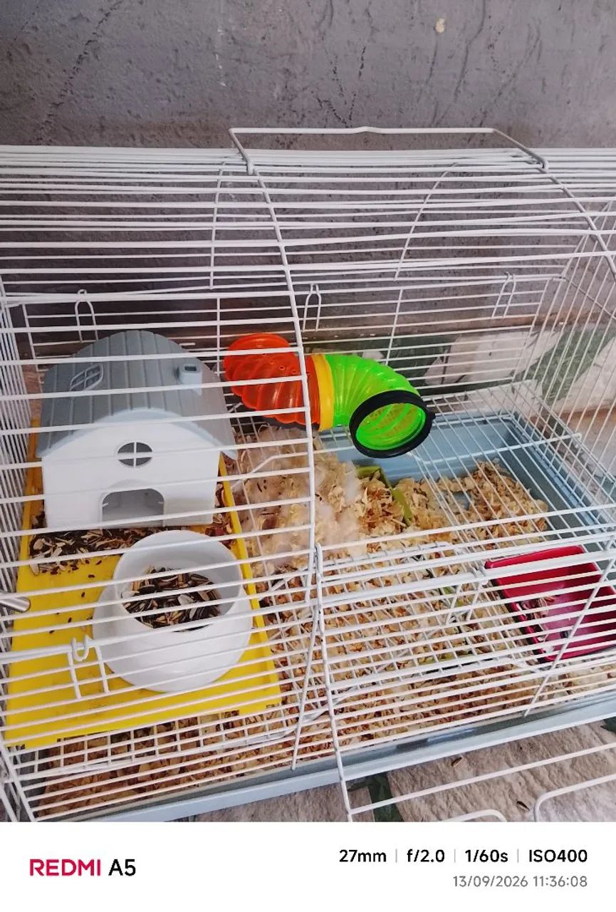 GAIOLA HAMSTER 