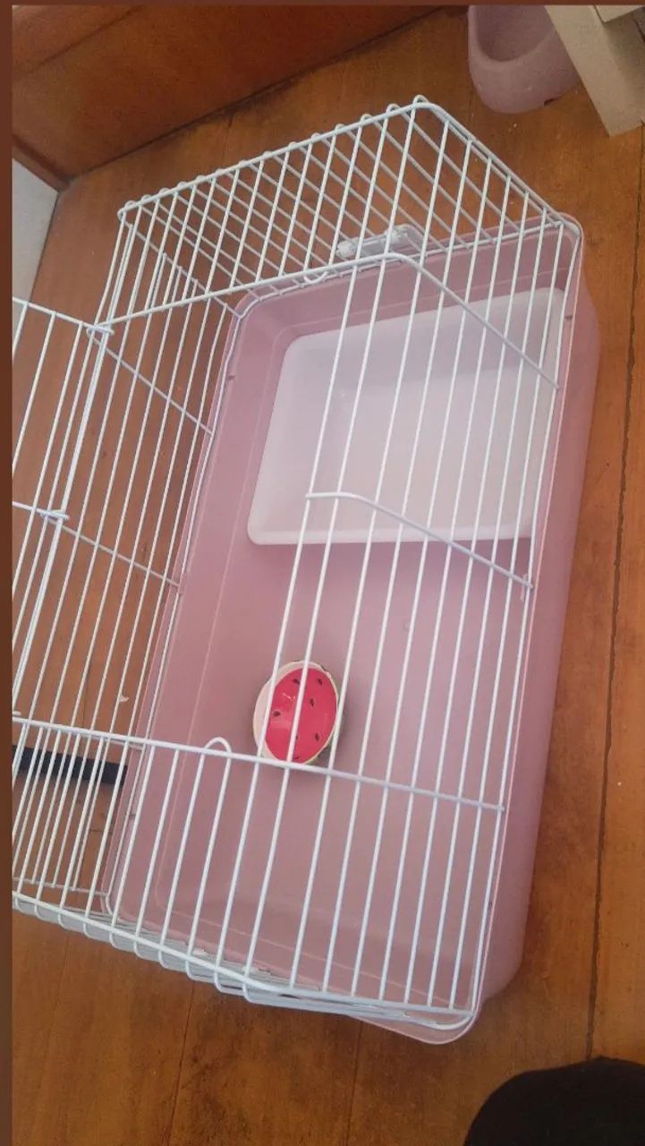 gaiola para coelho
