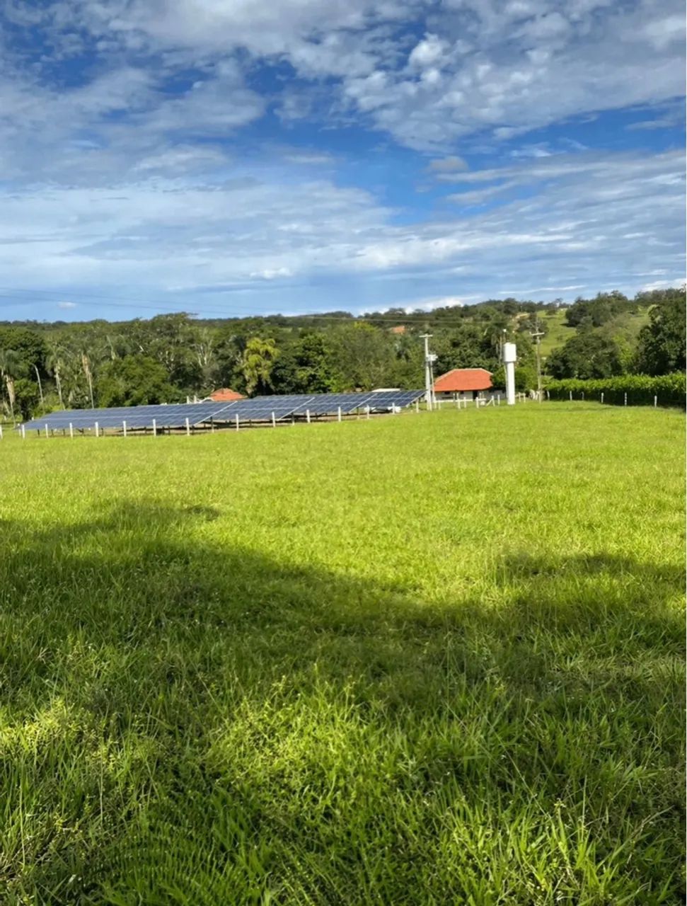 Fazenda - São Luis de Montes Belos - Go - Foto 2