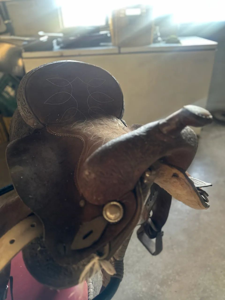 Sela americana  - Foto 4