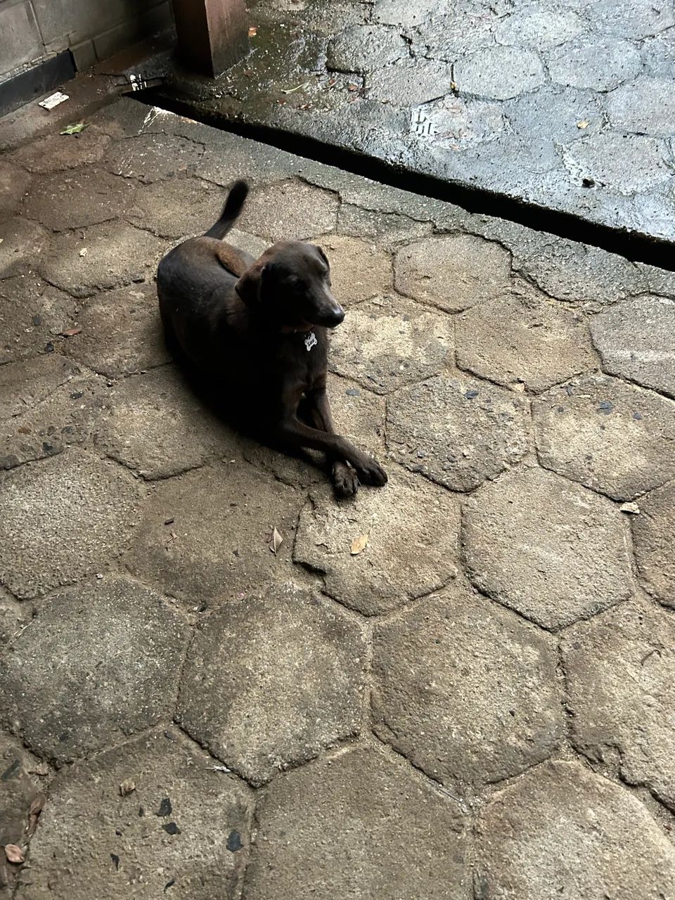 Lua - Foto 3