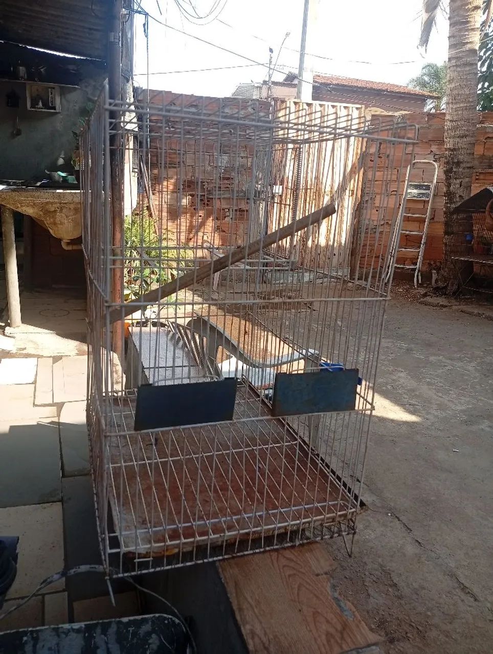 Gaiola  - Foto 2