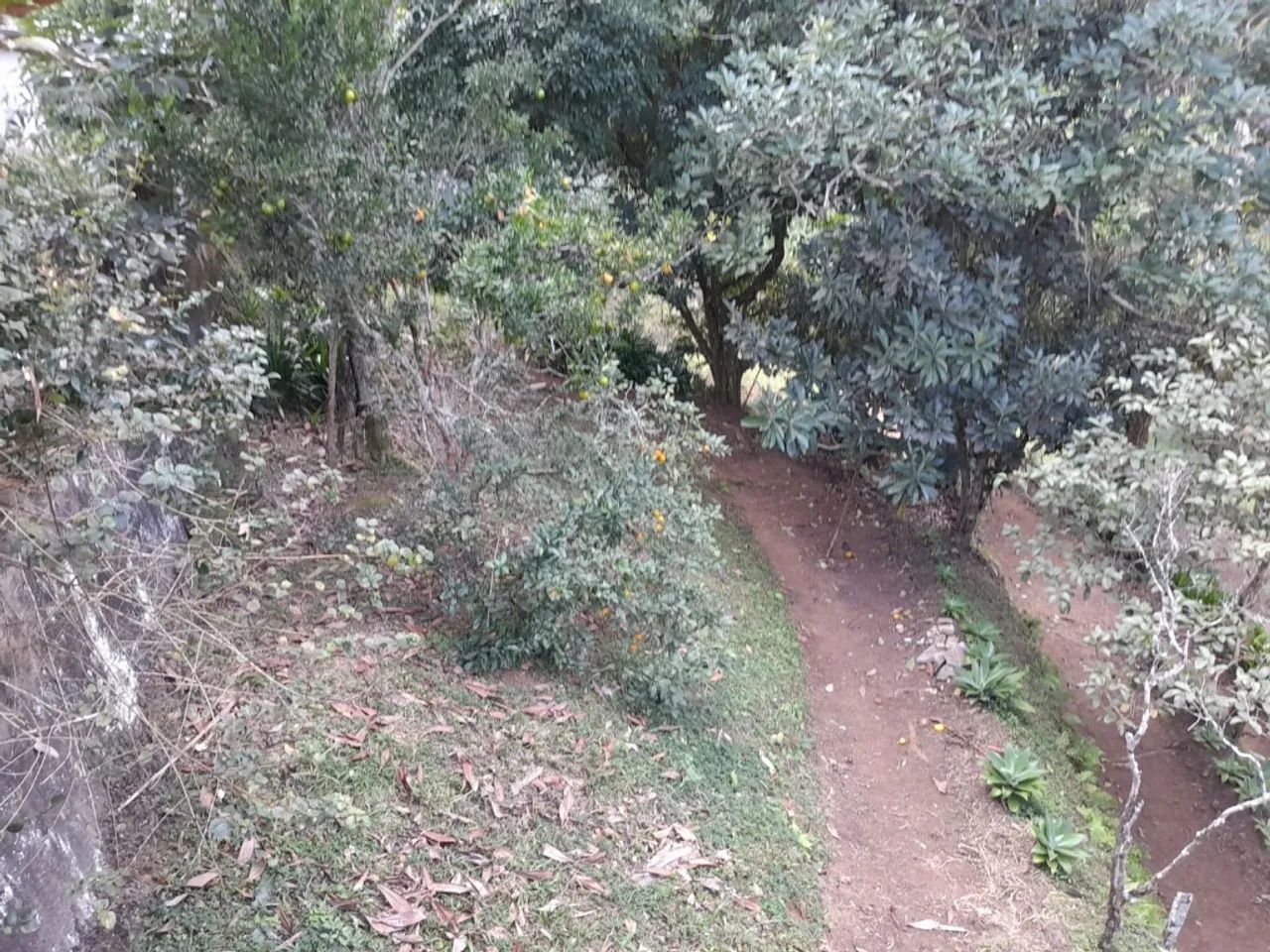 Chácara em Pedro do Rio - Foto 5