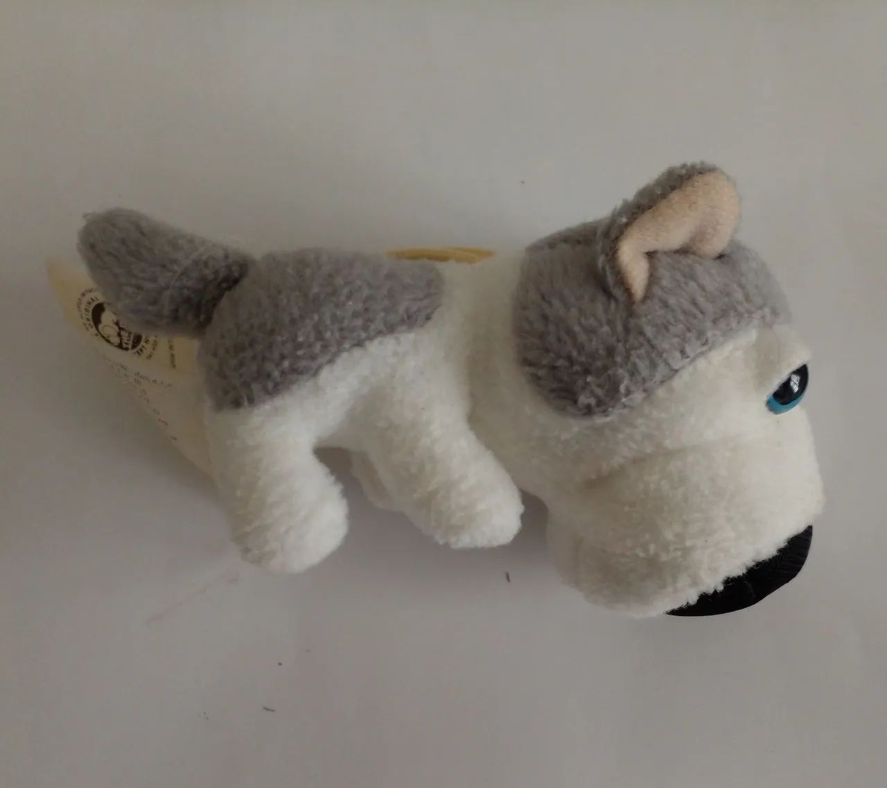 The Dog - HUSKY SIBERIANO