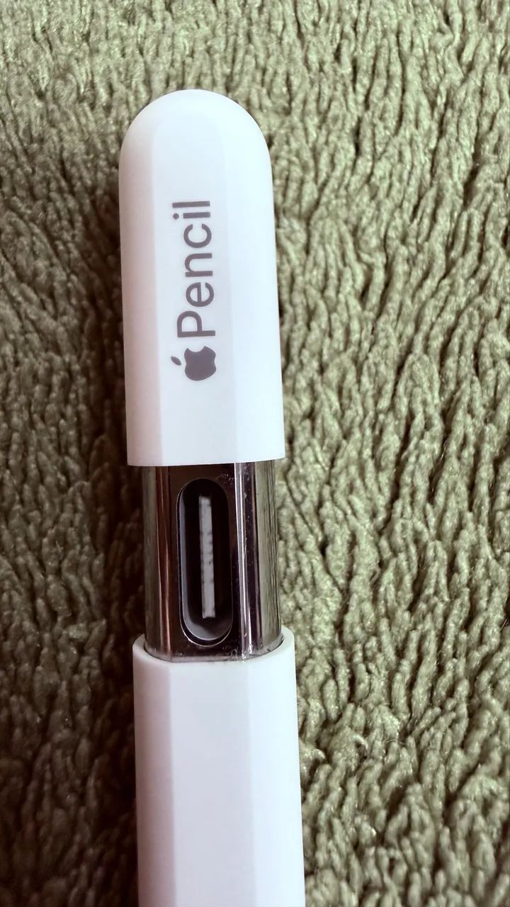 Apple Pencil (USB-C) - Periféricos e Acessórios de Computador
