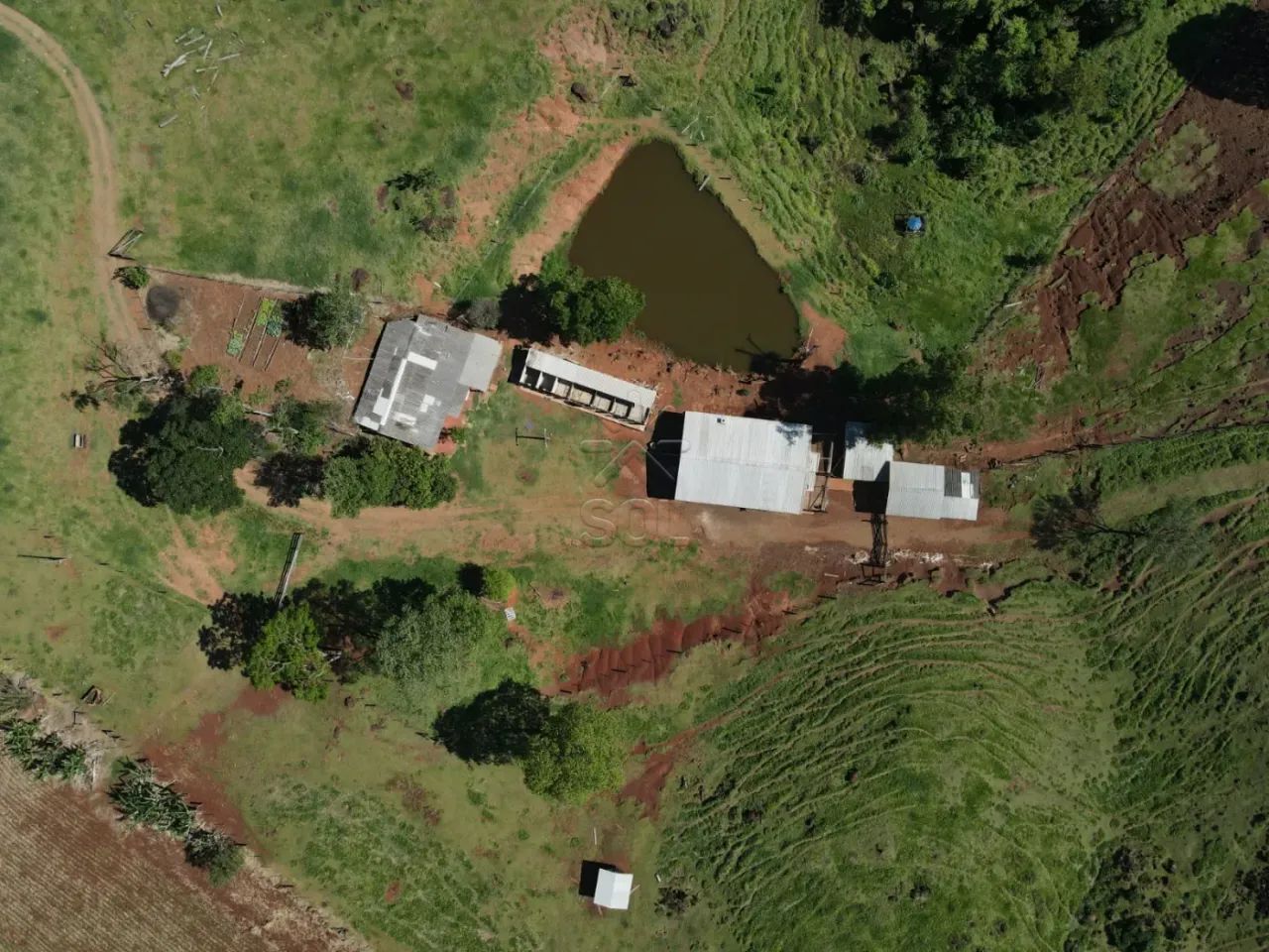 Fazenda à venda em Ramilândia/PR - Foto 5