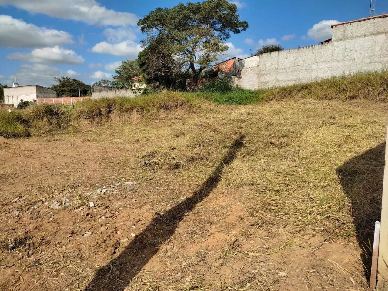 Capina e Roçagem mecanizada  - Foto 2