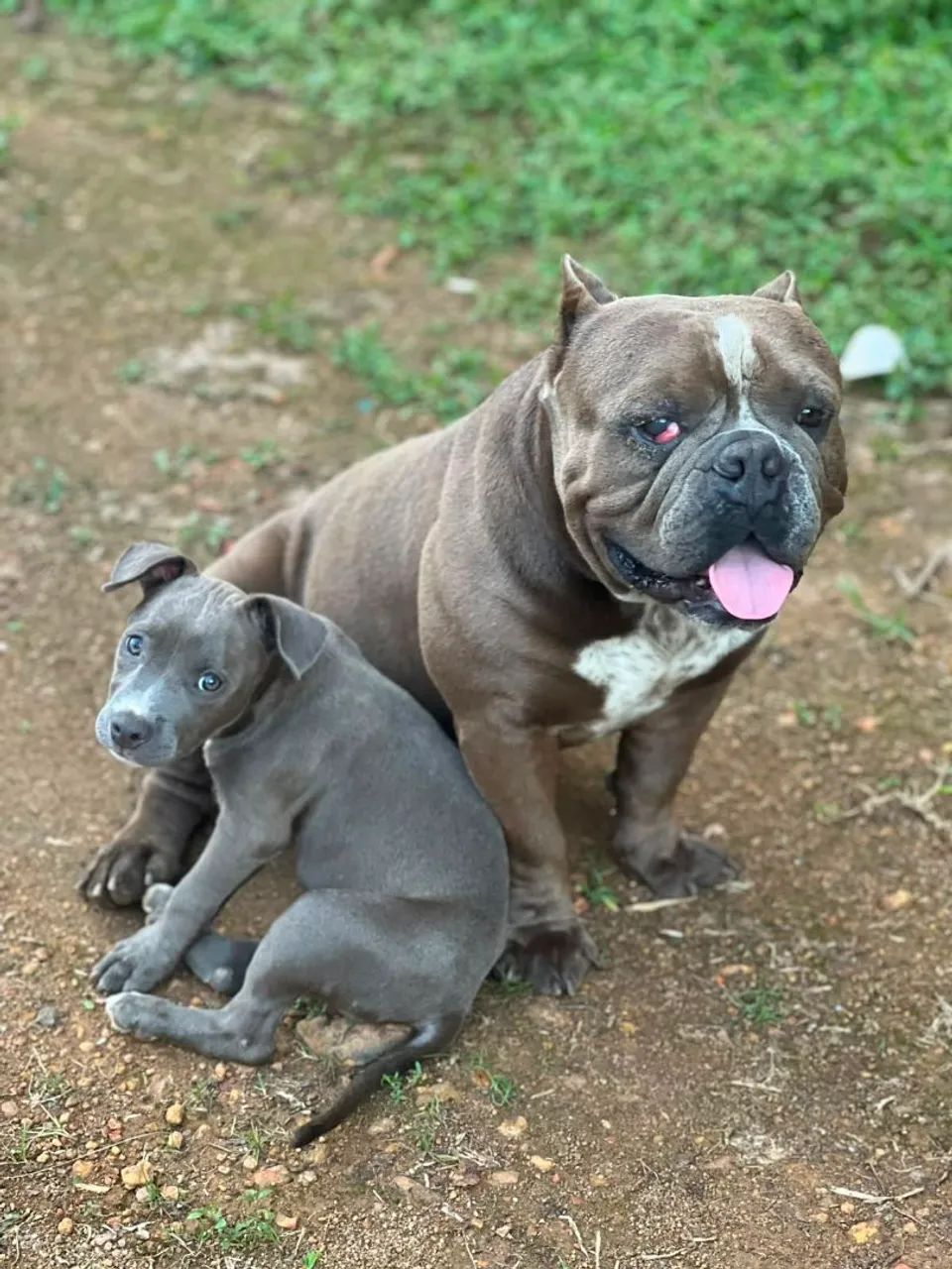 1 ano  - Foto 2