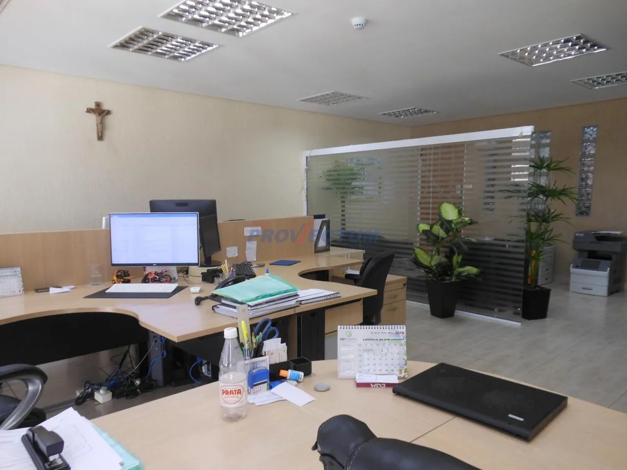 sala - Centro - Campinas - Foto 5