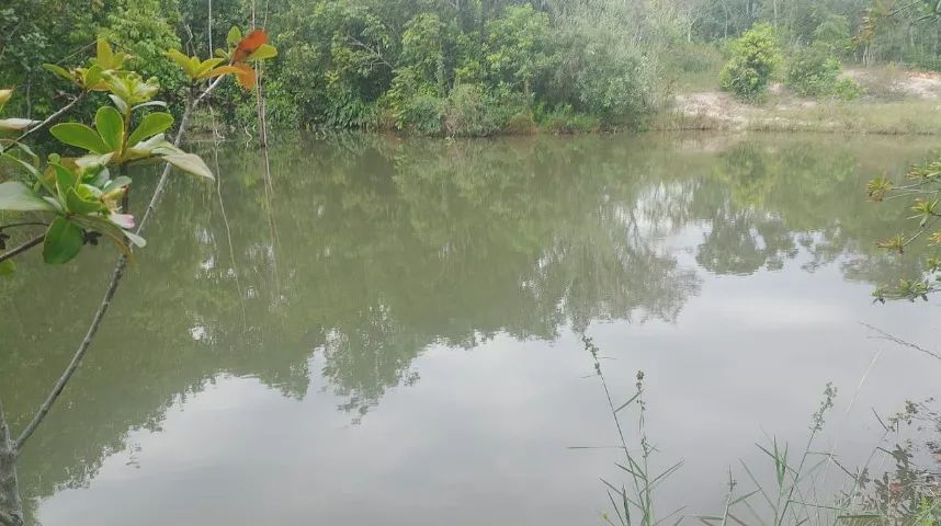 Loteamento - Nascente - Represa - Sauípe - Foto 5