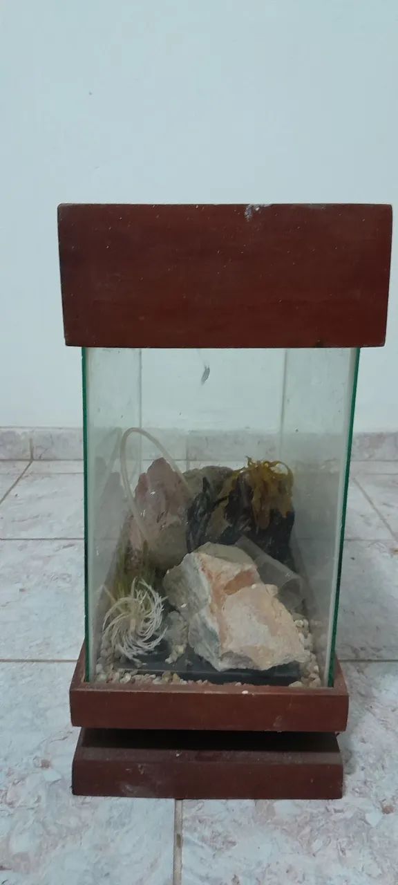 Aquário 24 litros - Foto 3