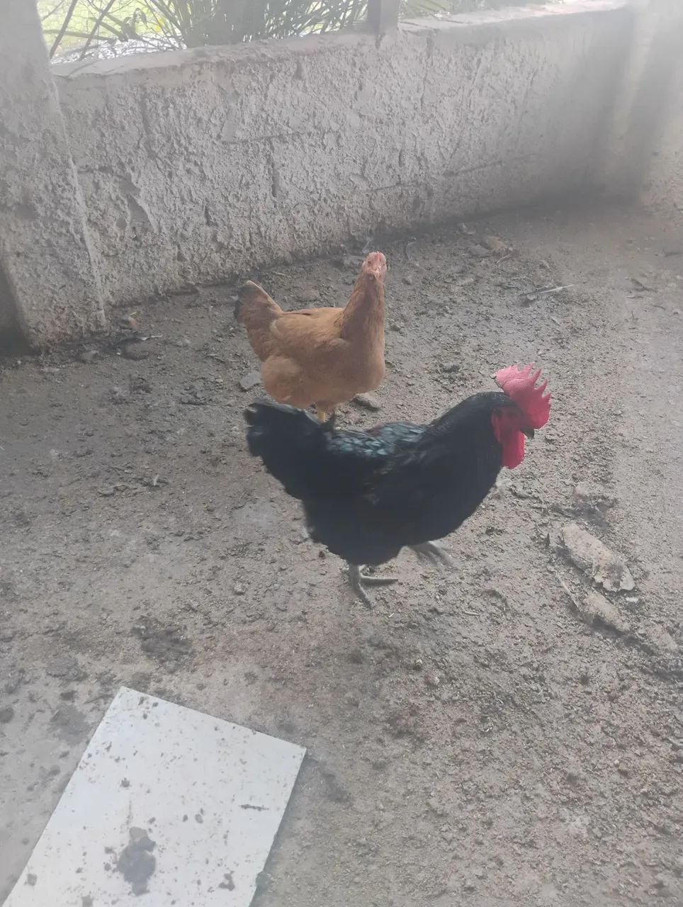 Ótima oportunidade. - Foto 2