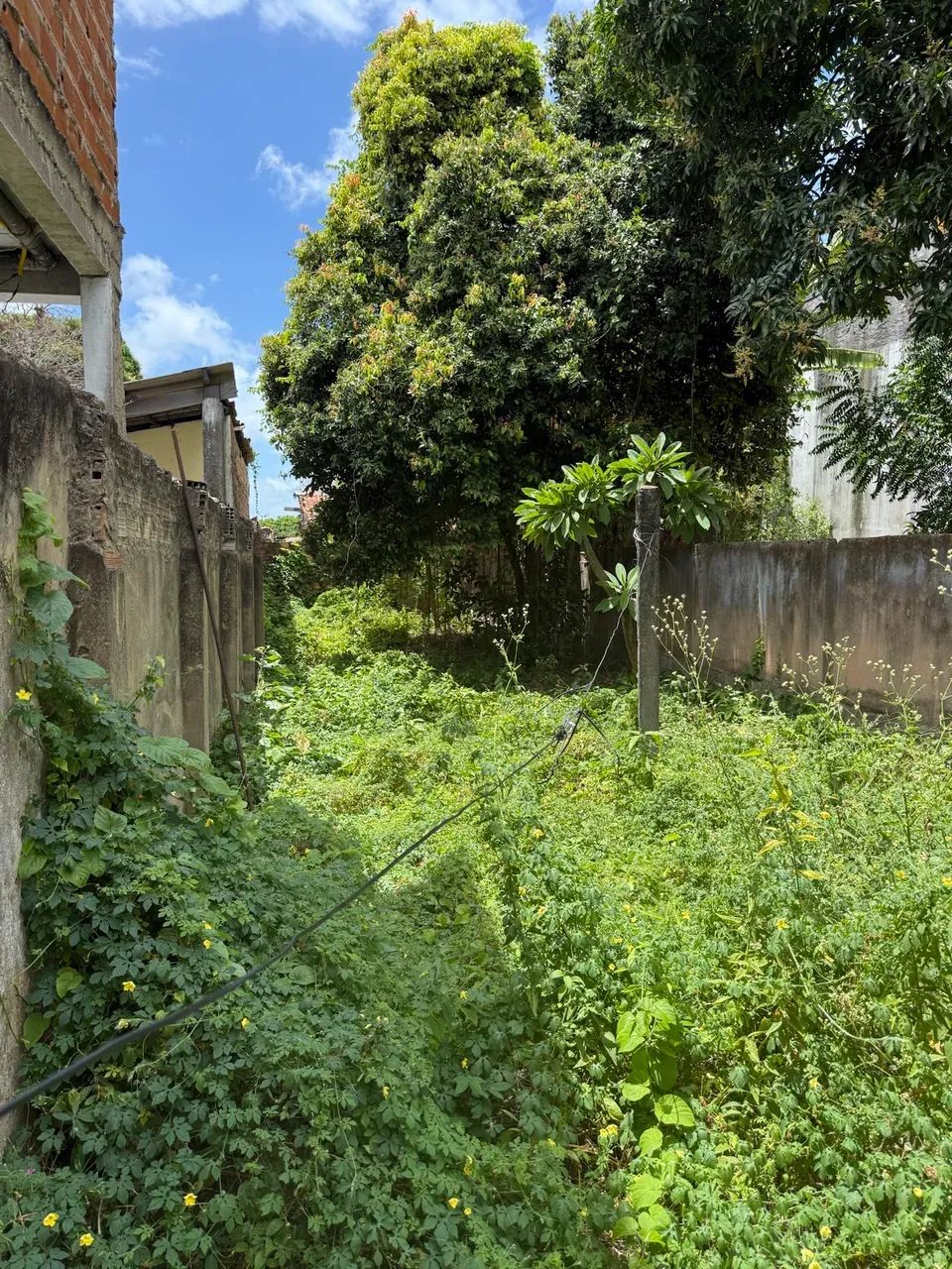 Ponto Comercial - Foto 2