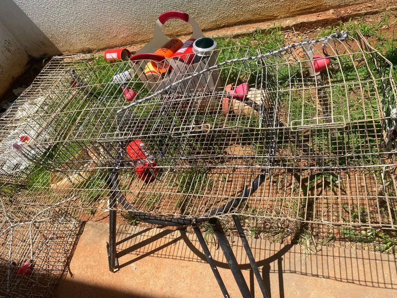 Gaiola para codorna  - Foto 2