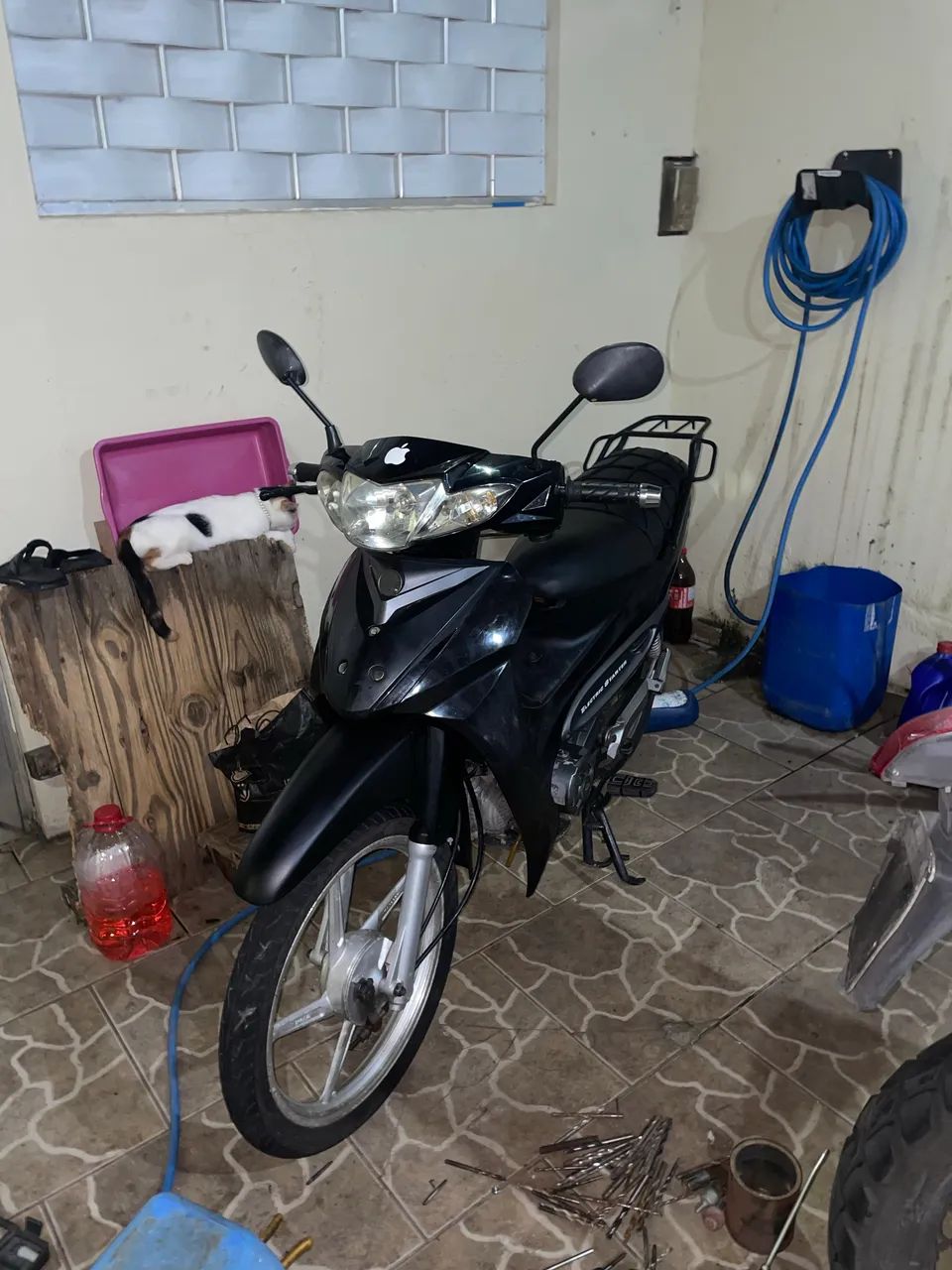 Zig 50 de procedência de leilão  - Foto 3