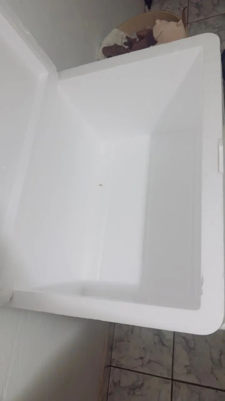 Caixa de isopor  - Foto 3