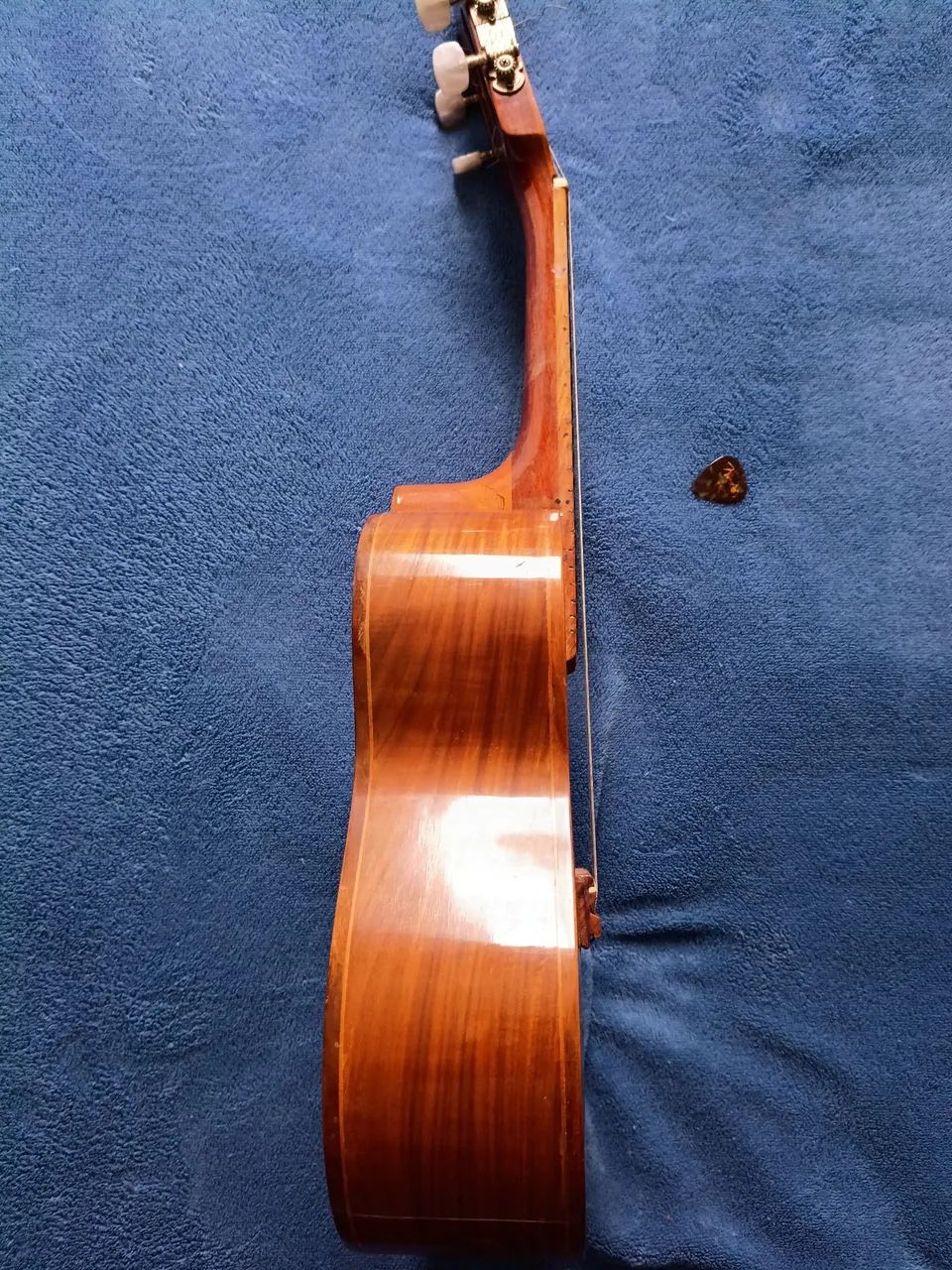 Cavaquinho Giannini  - Foto 3