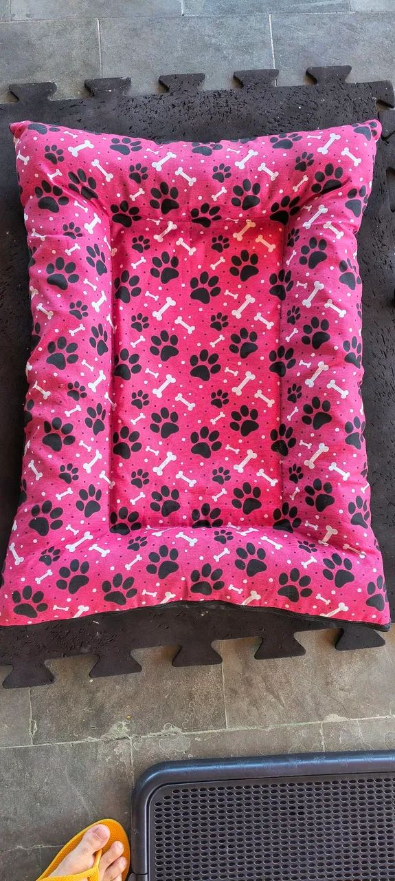 Kit de utensílios para cachorro - Foto 2