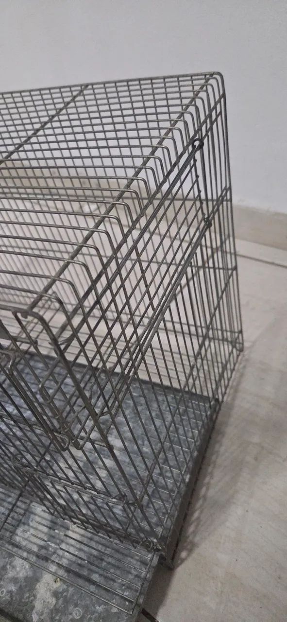 Gaiola criadeira aramil  - Foto 3