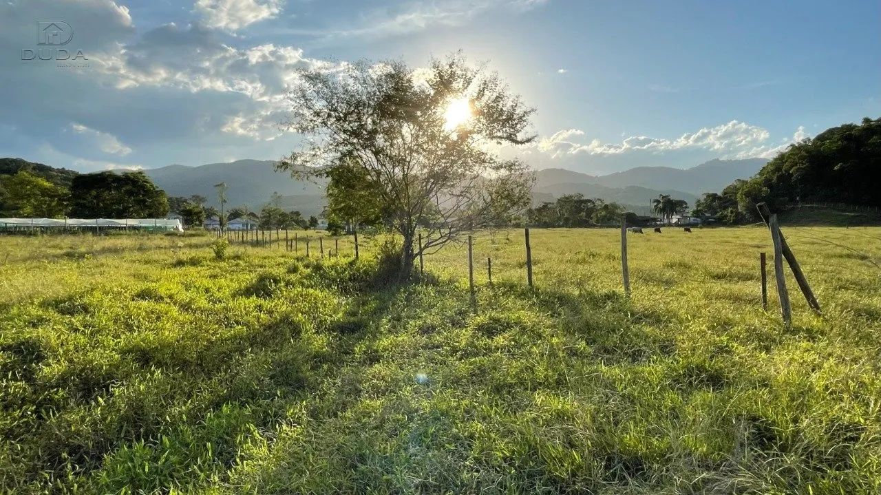 SITIO EM SANTO AMARO - Foto 2